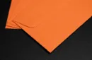 Blank Night 2025 Edition (Orange) by John Archer – Bild 2