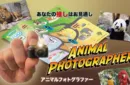 Animal photographer – Bild 4