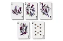 Nectar Meadows Playing Cards – Bild 4