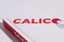 Calico by Rick Holcome – Image 2