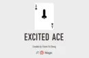 The Excited Ace by Chiam Yu Sheng – Bild 1
