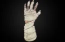 Hanson Chien Presents Mummy Hand by Hanson Chien & Bob Farmer – Image 3