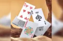 Three Rabbits with Ears Playing Cards – Bild 3