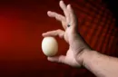 Magic Sponge Egg 4pk by Murphy's Magic – Bild 2