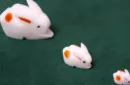 The Bunnies! 3D Rabbits (Parents, Kids & Grandpa) – Bild 2