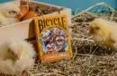 BICYCLE CHKNS & CROWNS PLAYING CARDS – Image 6