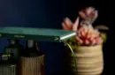 The Hummingbirds by Luke Jermay - Book – Bild 2
