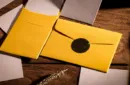 Roentgen Envelope by Chen Yang & TCC Magic – Bild 2