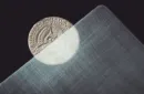 Transparent Matrix (Half Dollar) 2024 by Richard Mo – Image 2