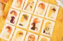 Cat & Dog Playing Cards by TCC Fashion – Image 4