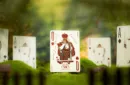 Childhood Playing Cards by TCC & Lunzi – Bild 5