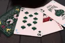 Bicycle Home for the Holidays Playing Cards by US Playing Cards – Image 3