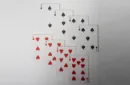 No Borders Edition 2 Dystopia Back Playing Cards by Joker and the Thief – Bild 3