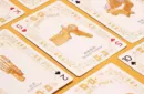Medical Poker (White) Playing Cards – Image 3