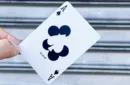 Cardistry-Con 2025 Playing Cards – Bild 2