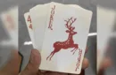 WANQUAN Playing Cards – Bild 2