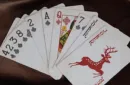 WANQUAN Playing Cards – Bild 5