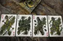 Mortalis Machina Cobalt Edition Playing Cards – Bild 3