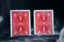 Leviti Deck by PITATA – Image 3