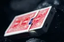 Leviti Deck by PITATA – Image 4