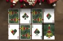 Diamon Playing Cards N° 24 by Dutch Card House Company – Image 2