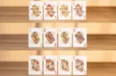 Bicycle Mascot (Brave Troops) Playing Cards – Image 5