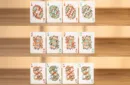 Bicycle Mascot (Legendary Turtle) Playing Cards – Image 3