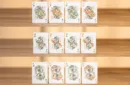Bicycle Mascot (White Marsh) Playing Cards – Image 3