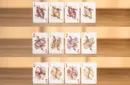 Bicycle Mascot (Roc) Playing Cards – Image 5