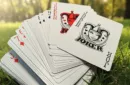 Disobedience Playing Cards by WohStudios – Bild 2