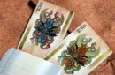 RONIN (Spade Clan Edition Blue) Playing Cards by Kings Wild Project – Bild 4