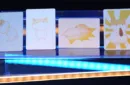 Hungry Hamster by Liang Kuai & Amor Magic / Packet Trick – Bild 2