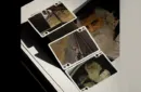MIKE BRODIE APOJP PHOTOGRAPHIC PLAYING CARDS – Bild 5