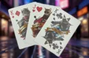 Biker Cats Playing Cards by Collectable Playing Cards – Image 5