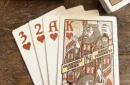 Odd Fellow Brother McPint Mini Playing Cards by Stockholm17 – Bild 3