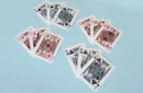 Butterfly Try-All V2 Playing Cards – Image 3