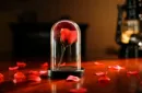 The Quantum Dome by Mai Bro & TCC Magic – Bild 2