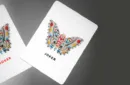 MOTHS (Stripe Edition) by Matthew Palladino – Bild 5