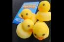 Super Spongy Duckies (4) – Bild 2