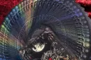 Trinity of Night - Werewolf HOLO Playing Cards by Evokad – Bild 3