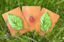 Lucky Ladybug (Leaf) by Joshua Ray & Deuce Gala Magic – Image 3
