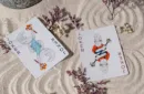Bicycle Cycle of Venus Playing Cards – Bild 3