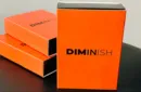 Diminish by Damian Surr – Image 1