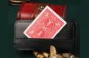 Daily Case by Joshua Kaufmann & Fedora Magic & N2G (Standard) – Image 3