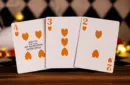 Standard Edition Night at the Circus (Animal Show) Playing Cards by Anti-Faro – Image 2
