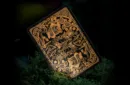 Moooi Collector's Edition (Extinct Animals) by theory11 - Playing Cards – Bild 3