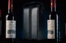 Miracle Wine Bottles Carrying Bag by TCC – Image 6