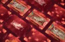 Zodiac (Aries) Luminous Edition Playing Cards by TCC – Image 3