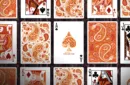 Paisley Ton sur Ton Poudre Orange workers Deck – Image 3