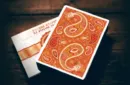 Paisley Ton sur Ton Poudre Orange Foil Designer's Choice – Image 2
